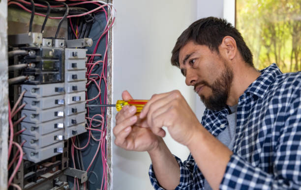 Best Local Electrician Companies  in Weedsport, NY